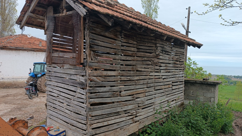 Geçmişin izinde  (Çiten)